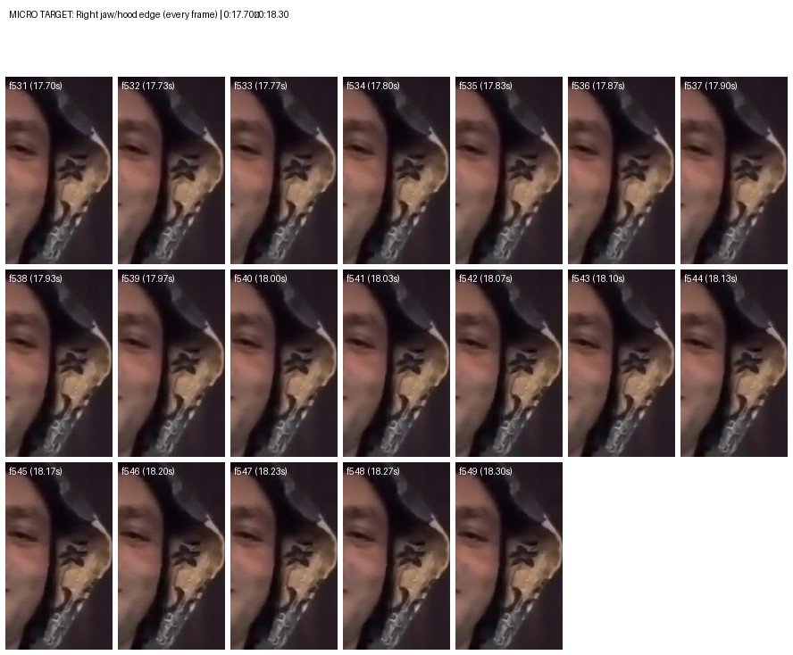 02 micro right jaw frames 531