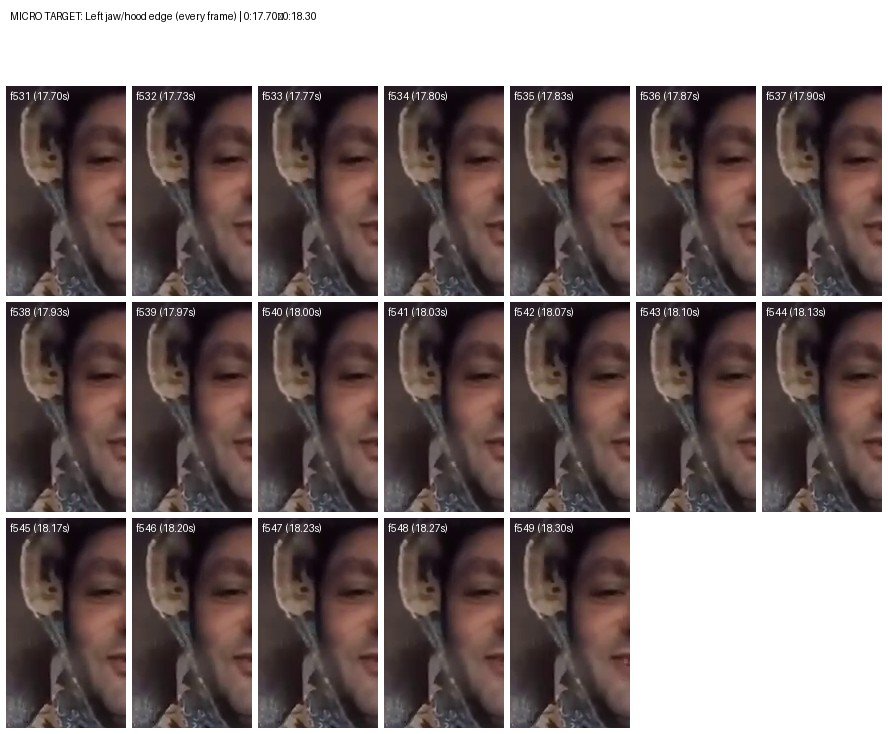 03 micro left jaw frames 531